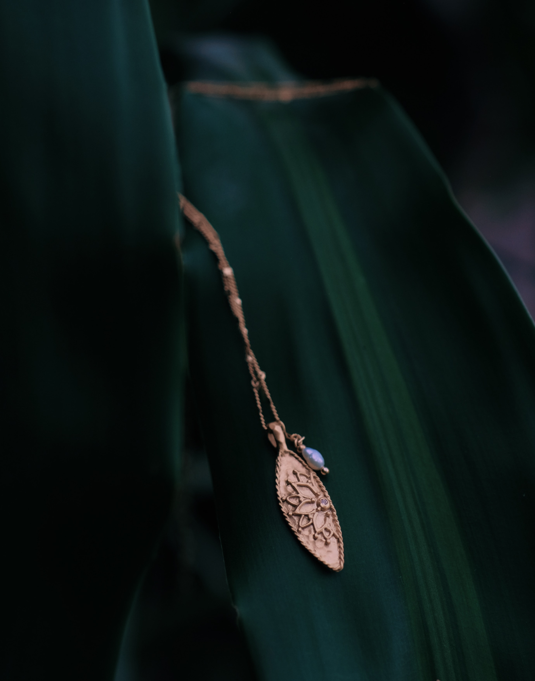 • Liyer-oro •