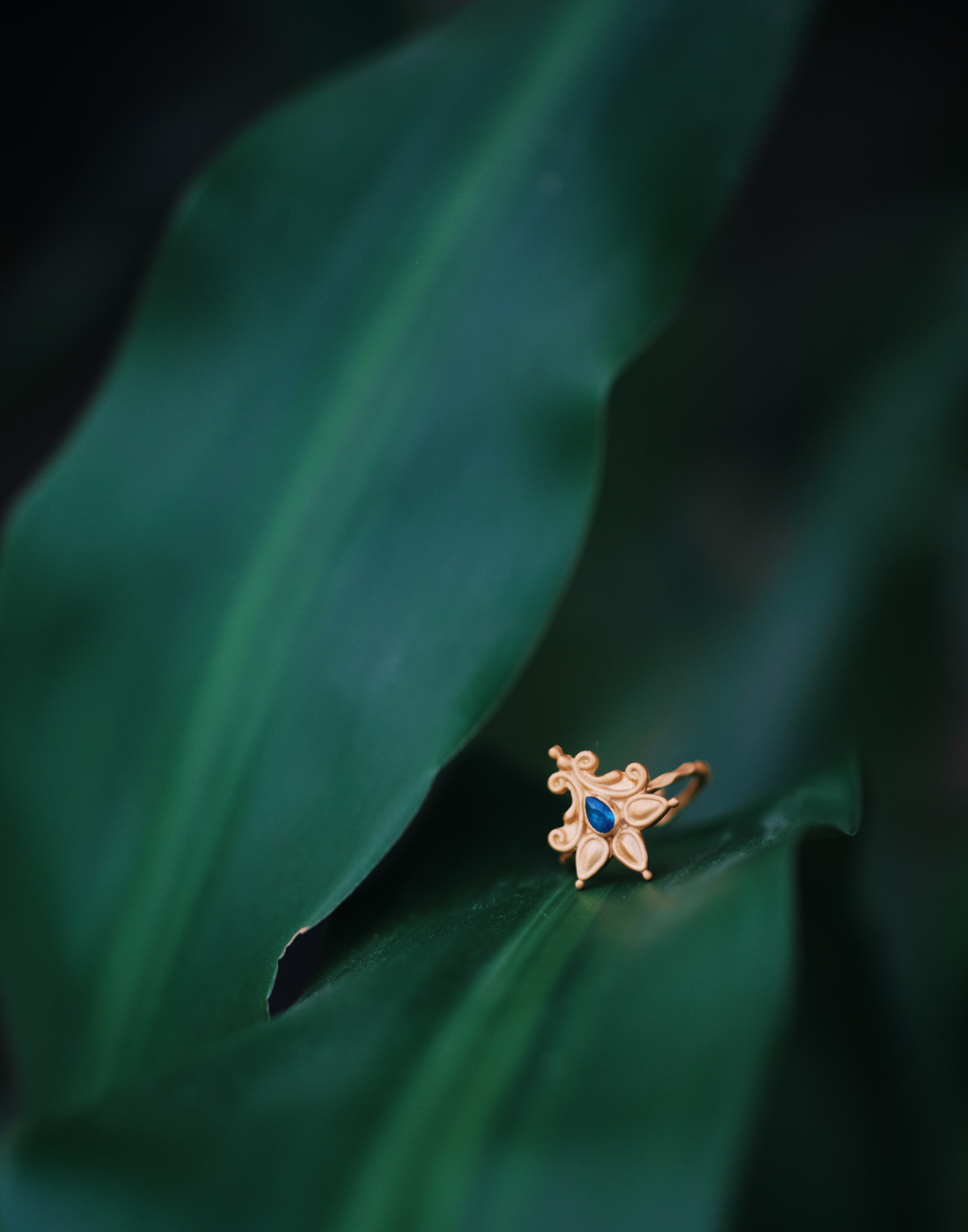 • Nusa-oro •
